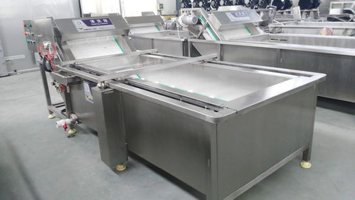 萬(wàn)利源紅棗清洗烘干與姑娘果清洗去皮機(jī) 食品機(jī)械設(shè)備的洗滌革新