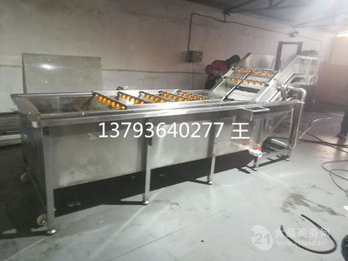 山東果蔬清洗設(shè)備價格解析與產(chǎn)品報(bào)價指南