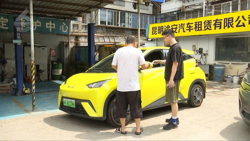 假日租車市場持續火熱，家庭出行與社交需求催生“國民神車”